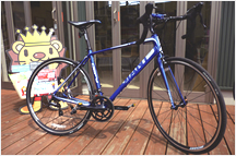 GIANT DEFY3
